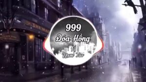999 doa hong tieng trung