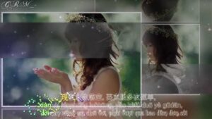 bai hat tieng trung em yeu anh luong bich huu