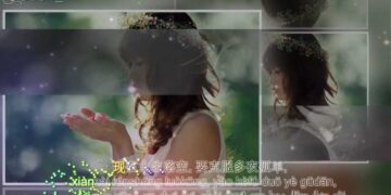 Bài hát tiếng Trung: Em Yêu Anh – 我爱你 – Lương Bích Hữu