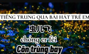 con trung bay tieng trung