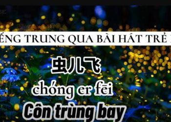 con trung bay tieng trung