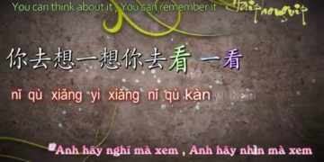 Học tiếng Trung qua bài hát: Ánh Trăng Nói Hộ Lòng Tôi 月亮代表我的心