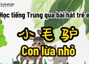 Học tiếng Trung qua bài hát: Chú Lừa con – [ PINYIN+ VIETSUB ]