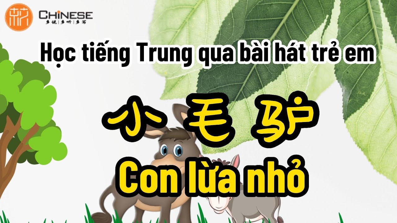 Hoc Tieng Trung Qua Bai Hat Chu Lua Con