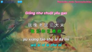 hoc tieng trung qua bai hat chuot yeu gao