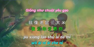 Học tiếng Trung qua bài hát: Chuột Yêu Gạo – 老鼠爱大米