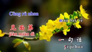 hoc tieng trung qua bai hat cung hy cung hy gong xi gong xi pinyin vietsub