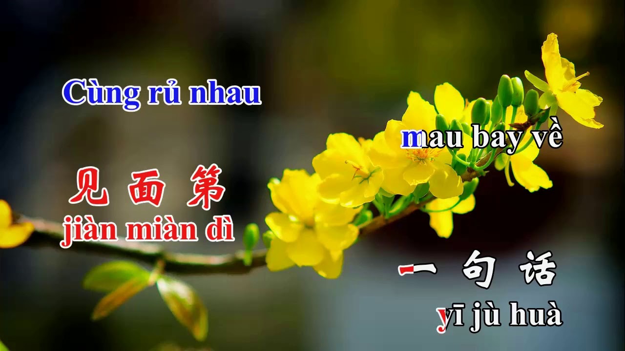 Hoc Tieng Trung Qua Bai Hat Cung Hy Cung Hy Gong Xi Gong Xi Pinyin Vietsub