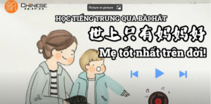 me tot nhat tren dơi