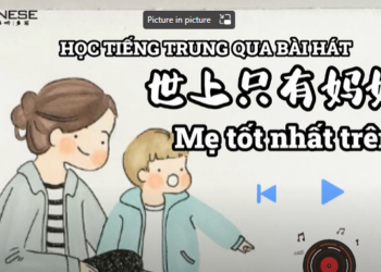 me tot nhat tren dơi