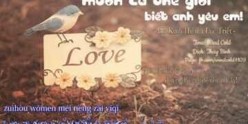 muon ca the gioi biet anh yeu em tieng trung