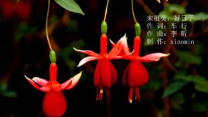 hoc tieng trung qua bai hat ngay tot lanh