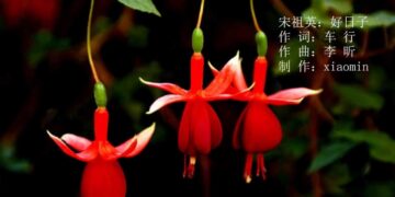 Học tiếng Trung qua bài hát: Ngày tốt lành – 好日子